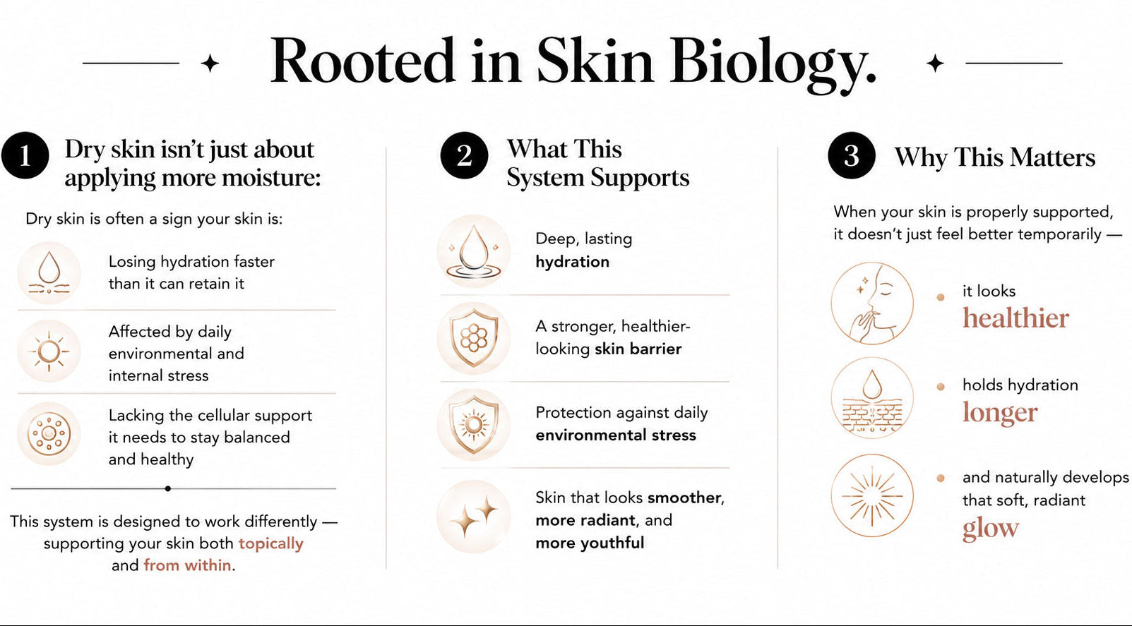 Educational graphic about skin biology and hydration, with icons and text on a white background.