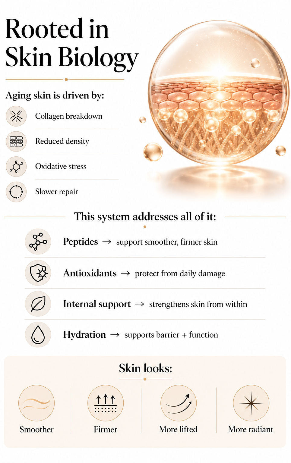 Diagram of skin biology with text on aging and solutions, featuring a close-up of skin cells.