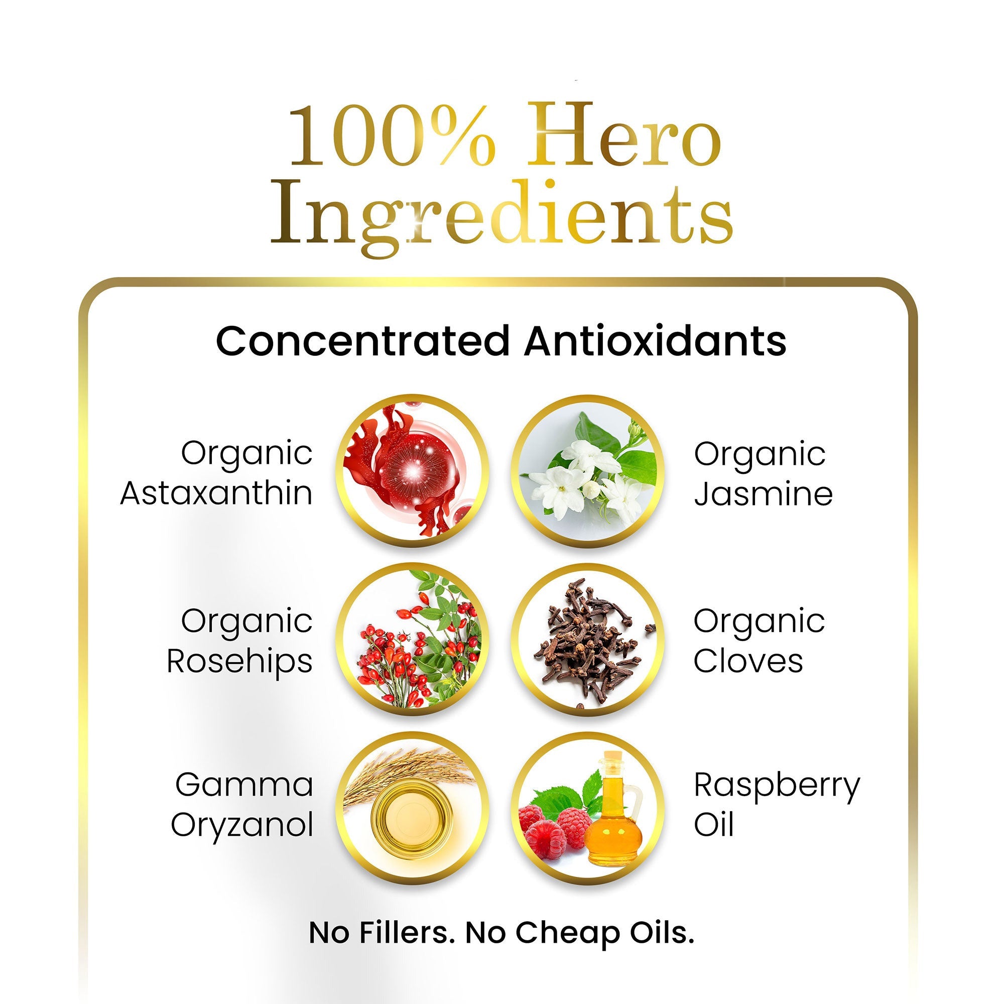 List of concentrated antioxidants with corresponding images and Luxe Beauty branding.