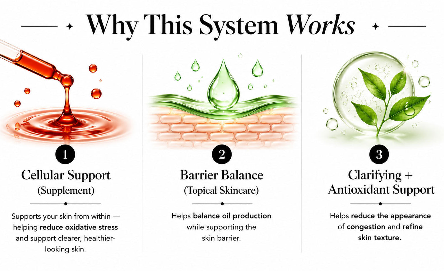 Diagram explaining how a skincare system works with labeled steps and corresponding images.