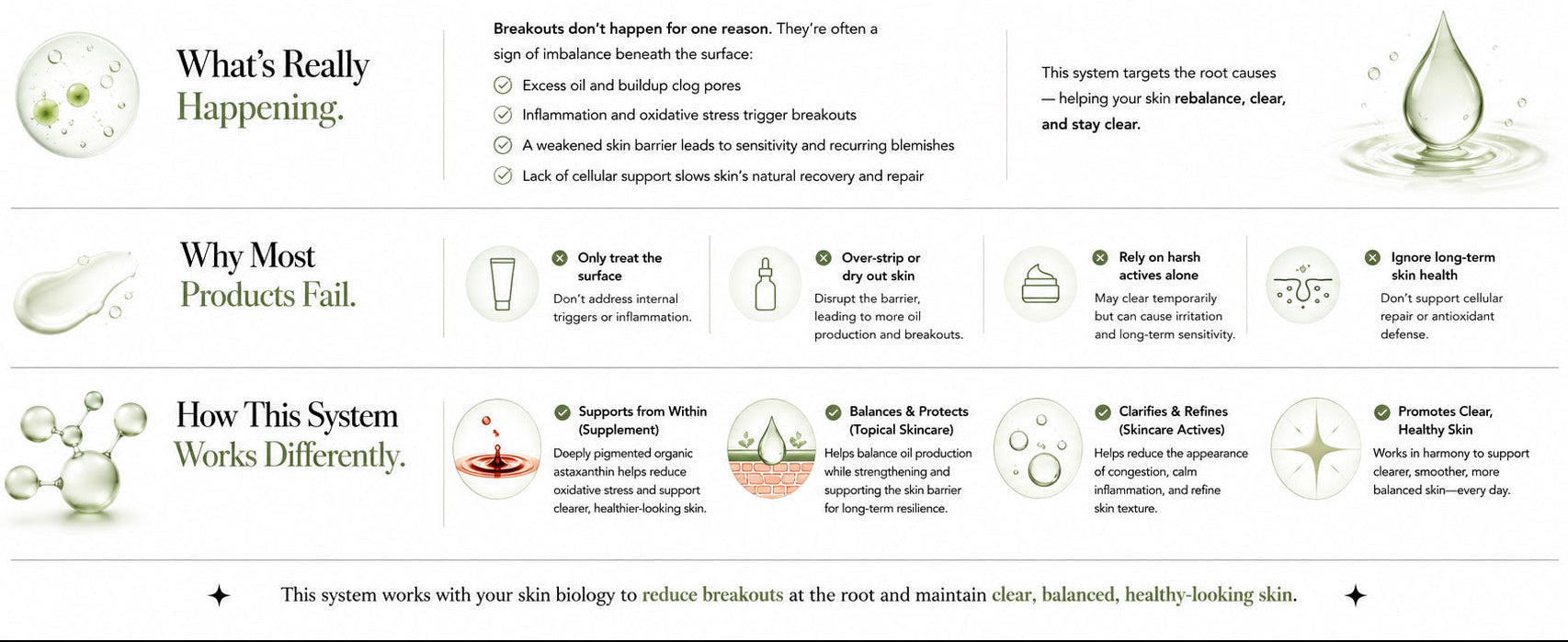 Educational graphic about skincare biology and product efficacy on a white background