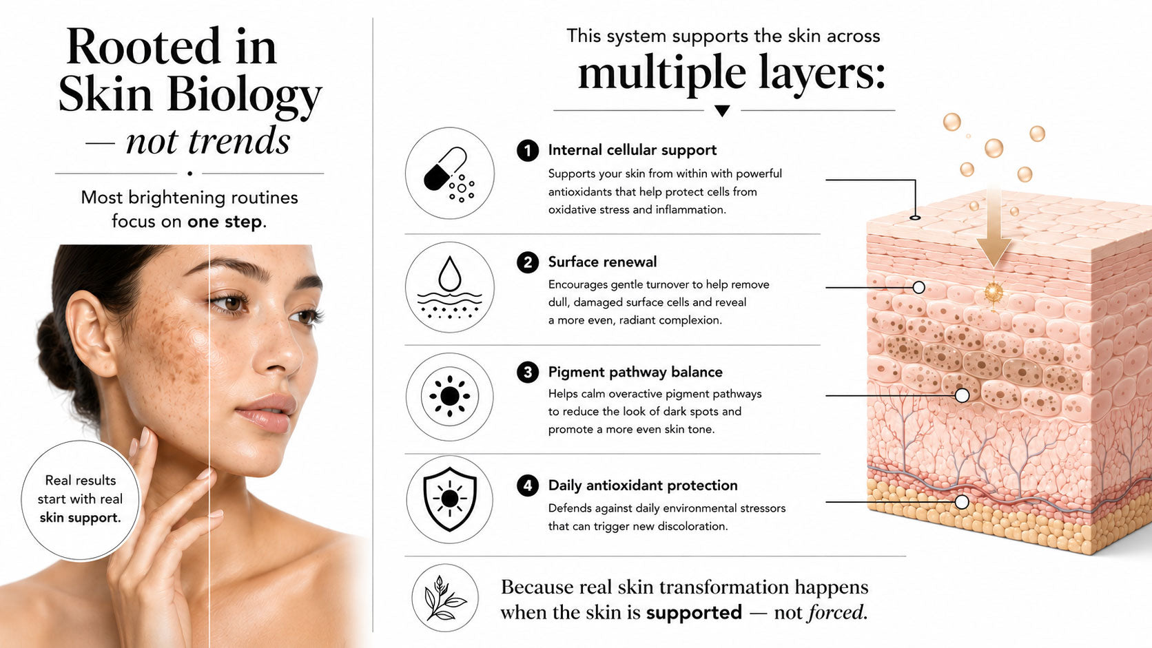 Diagram of skin layers with a woman's face and text about skincare system support.
