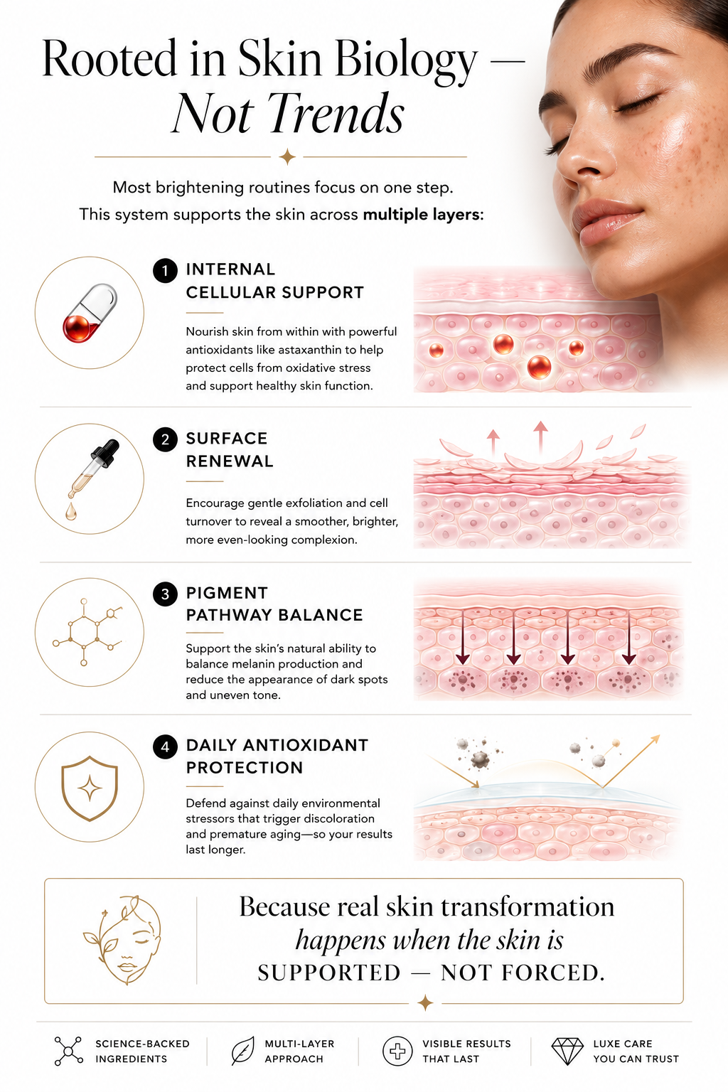Brightening System for Dark Spots &amp; Hyperpigmentation