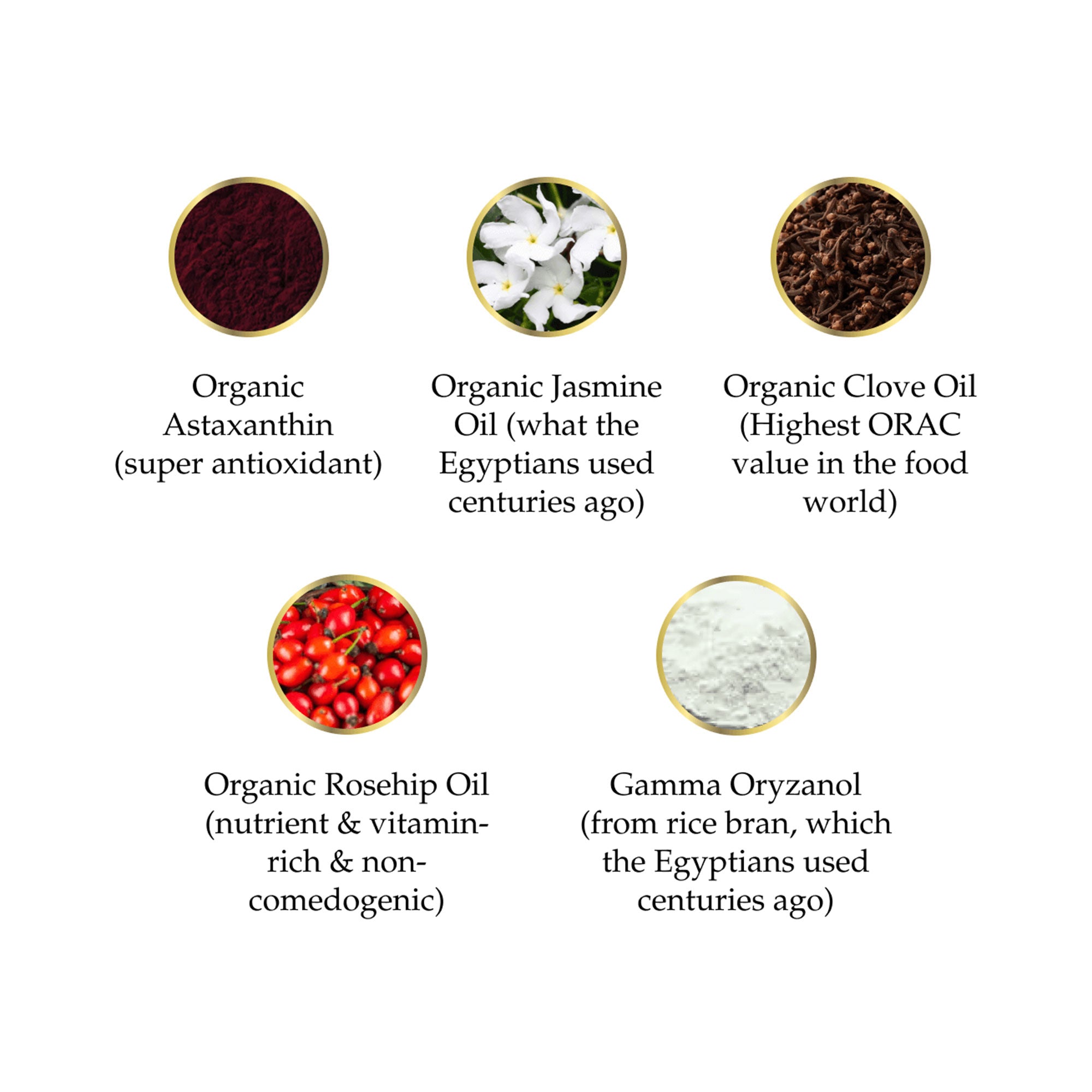 List of organic oils with images and descriptions on a white background