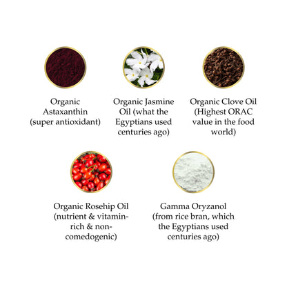 List of organic oils with images and descriptions on a white background