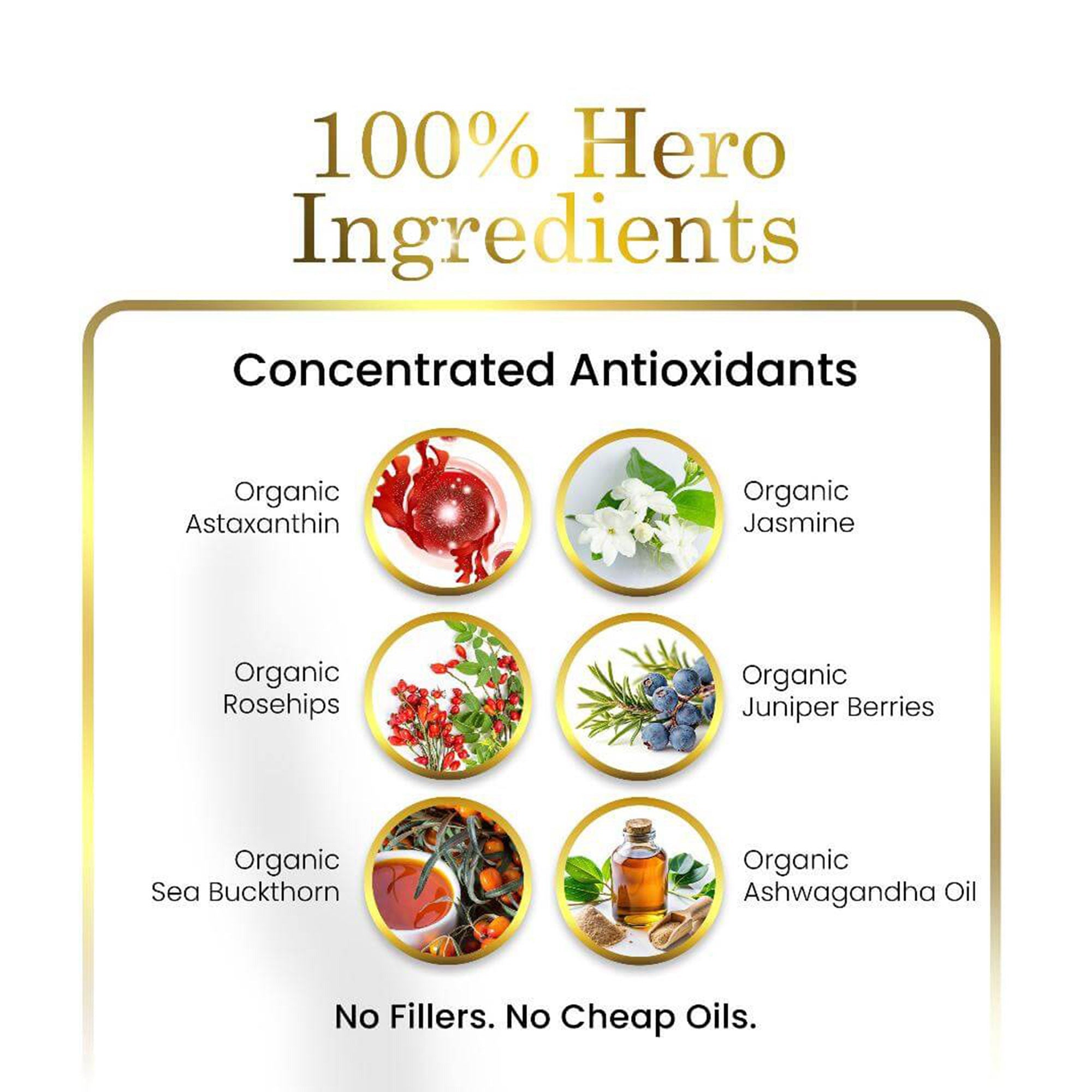 Luxe Beauty product with concentrated antioxidants and their ingredients on a white background