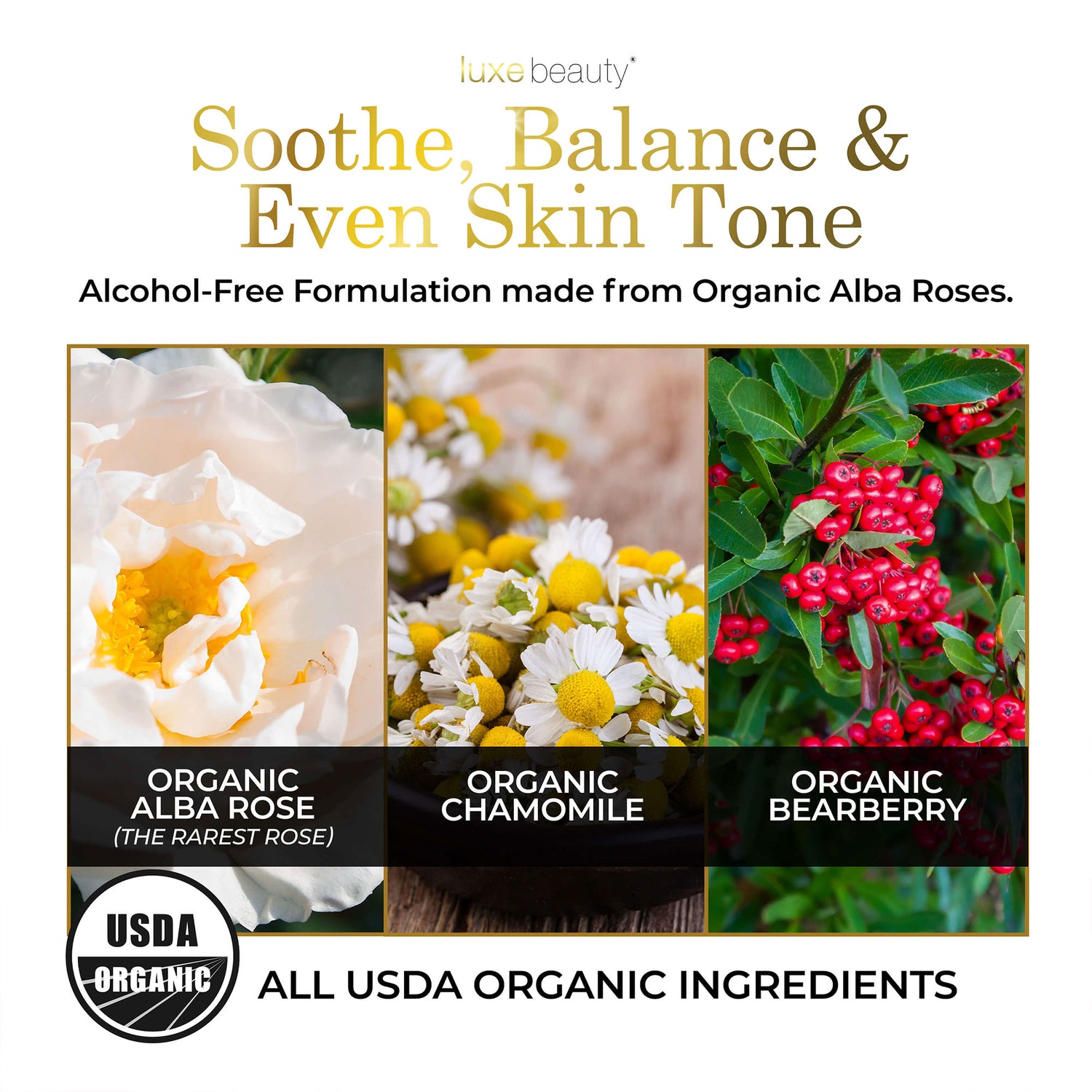 Advertisement for a Luxe Toner with organic ingredients and USDA Organic label.