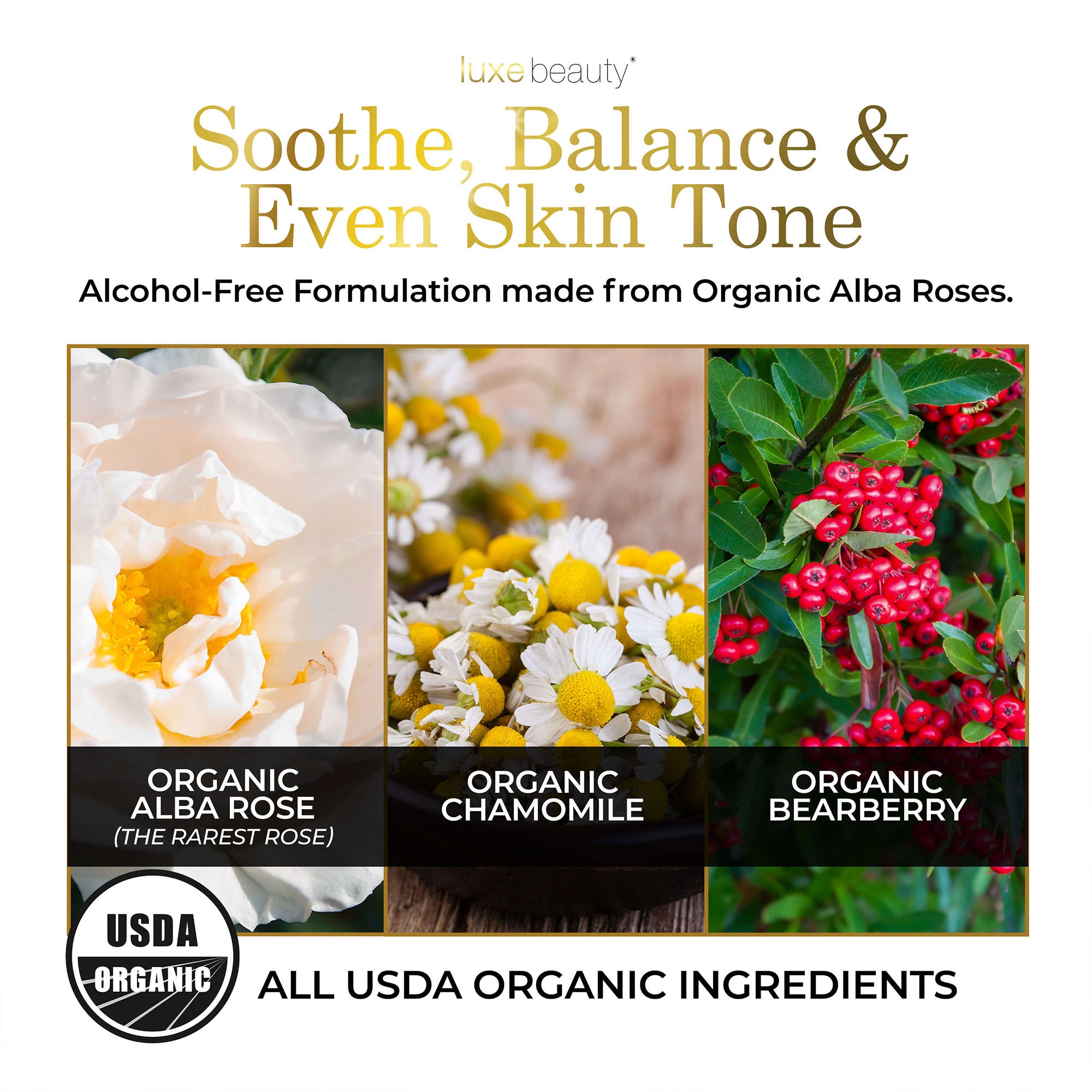 Advertisement for a Luxe Toner with organic ingredients and USDA Organic label.