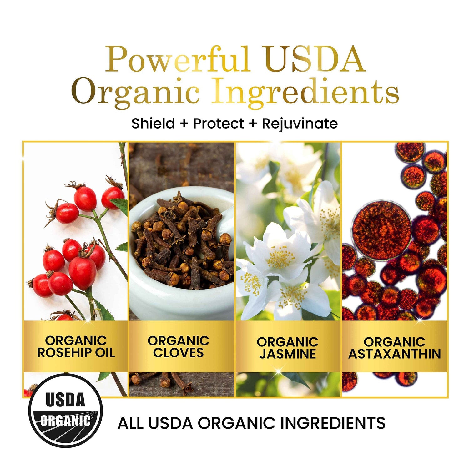 Advertisement for USDA Organic ingredients with images of rosehip oil, cloves, jasmine, and astaxanthin.